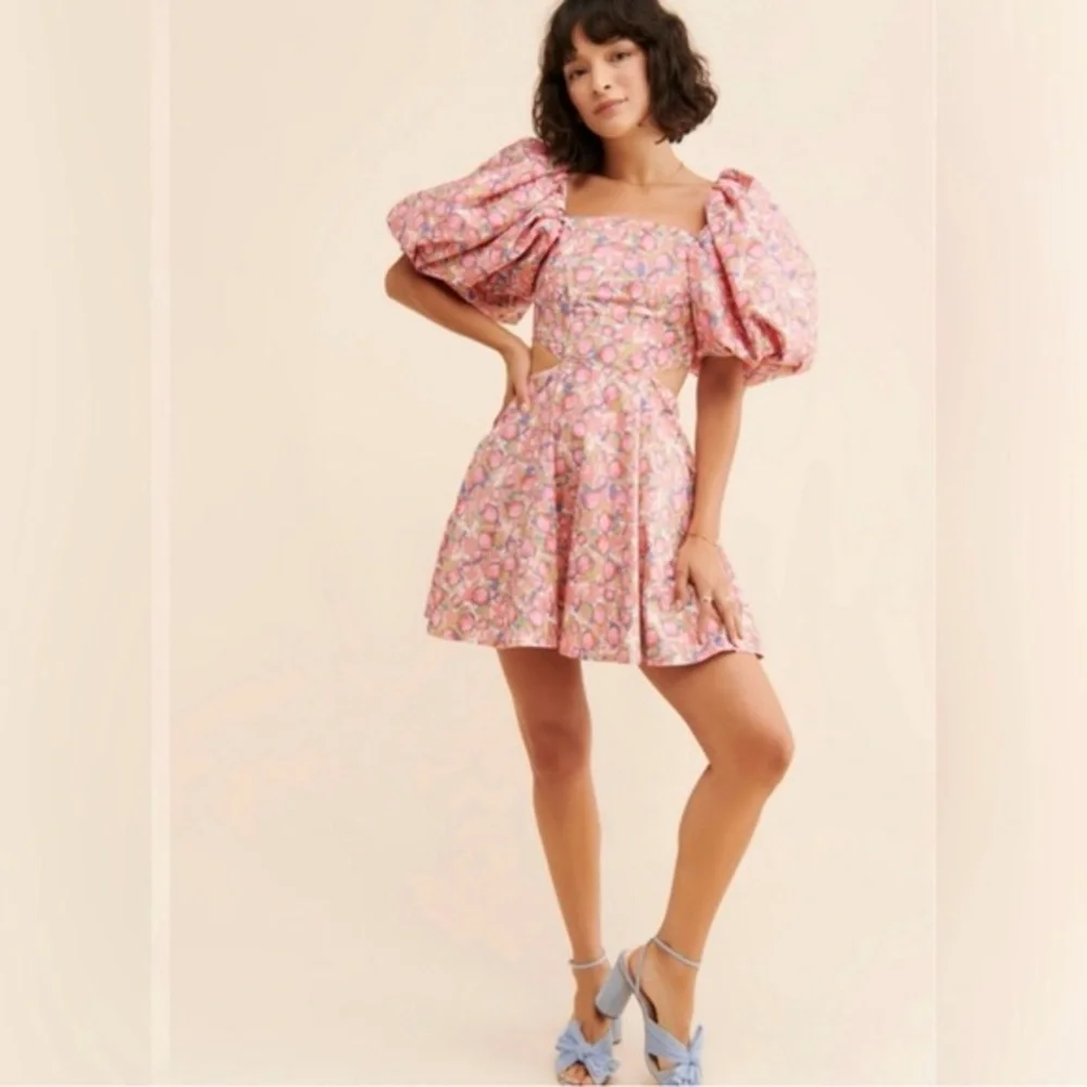 Aureta by Anthropologie Ada Mini Floral Puff Sleeve Dress Size L - Picture 1 of 14